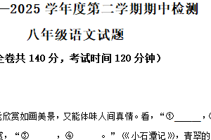 江苏省徐州市2024-2025学年八年级下学期期中语文试题（含解析）