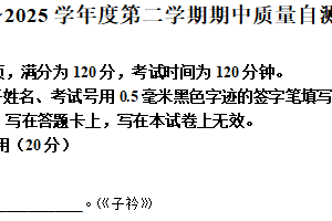 江苏省徐州市铜山区2024-2025学年八年级下学期期中语文试题（含解析）