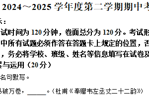 江苏省盐城市建湖县2024-2025学年八年级下学期期中语文试题（含解析）