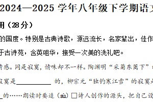 江苏省扬州市宝应县2024-2025学年八年级下学期期中语文试题（含解析）