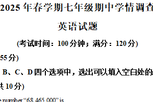 江苏省泰州市泰兴市2024-2025学年七年级下学期期中英语试题（含解析）