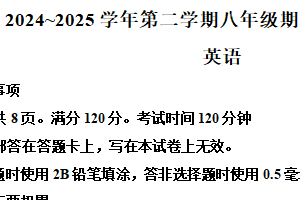 江苏省宿迁市泗阳县2024-2025学年八年级下学期期中考试英语试卷（含解析）