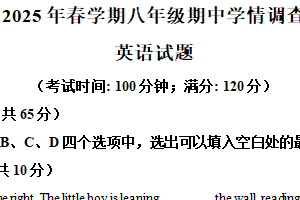 江苏省泰州市泰兴市2024-2025学年八年级下学期期中考试英语试题（含解析）