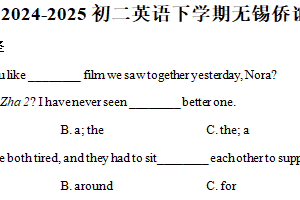 江苏省无锡市侨谊中学2024-2025 学年八年级下学期英语期中测试卷（含解析）