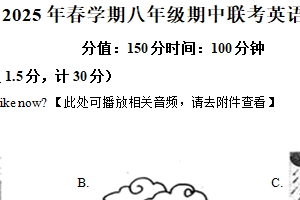 江苏省盐城市阜宁县联考2024-2025学年八年级下学期期中考试英语试题（含解析+听力音频）