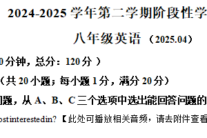 江苏省镇江市经开区2024-2025学年八年级下学期期中考试英语试卷（含解析+听力音频）