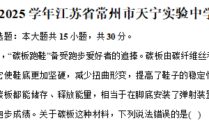 江苏省常州市实验初级中学天宁分校2024-2025学年八年级下学期期中物理试卷（含解析）