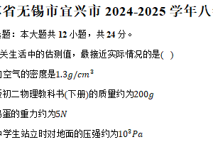 江苏省无锡市宜兴市2024-2025学年八年级（下）期中物理试卷（含解析）
