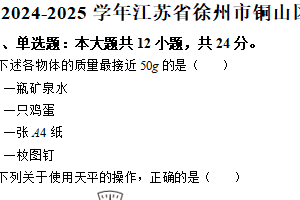 江苏省徐州市铜山区2024-2025学年八年级下学期期中物理试题（含解析）