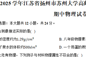 江苏省扬州市苏州大学高邮实验学校等五校2024-2025学年八年级下学期期中质量调研物理试卷（含解析）