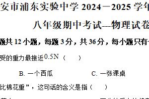江苏省淮安市浦东实验中学2024-2025学年八年级下学期期中考试物理试题（含解析）