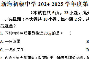 江苏省连云港市新海初级中学2024-2025学年八年级下学期期中考试物理试题（含解析）