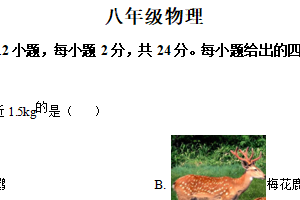 江苏省苏州市新区、吴中、吴江、相城区2024-2025学年八年级下学期期中阳光调研物理试题（含解析）