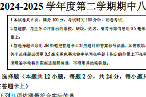 江苏省宿迁地区2024-2025学年八年级下学期期中调研监测物理试卷（含答案）