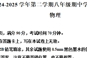 江苏省宿迁市泗阳县2024-2025学年八年级下学期期中考试物理试题（含解析）