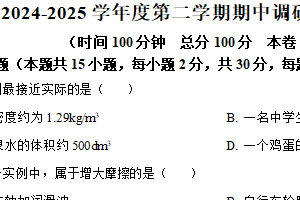 江苏省宿迁市宿城区2024-2025学年八年级下学期期中考试物理试题（含解析）