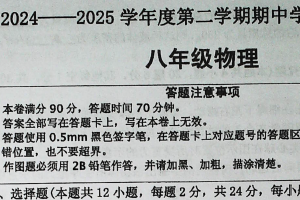 江苏省宿迁市宿城区教学共同体2024-2025学年八年级下学期4月期中物理试题（含答案）