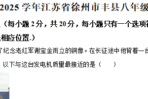 江苏省徐州市丰县2024-2025学年八年级下学期期中物理试题（含解析）