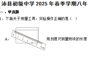 江苏省徐州市沛县初级中学2024-2025学年八年级下学期期中物理练习卷（含解析）