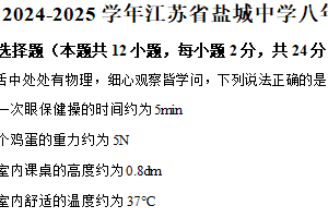 江苏省盐城初级中学2024-2025学年八年级下学期期中物理试卷（含解析）