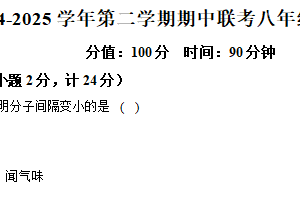江苏省盐城市盐城经济技术开发区联考2024-2025学年八年级下学期期中物理试题（含解析）
