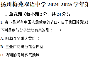 江苏省扬州市邗江区梅苑双语学校2024-2025学年八年级下学期期中考物理试卷（含解析）