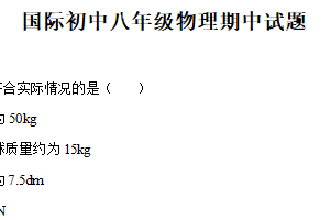 江苏省扬州市江都区华君外国语学校2024-2025学年八年级下学期期中考试物理试卷（含解析）