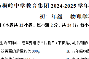 江苏省扬州市梅岭集团2024-2025学年八年级下学期期中考试物理试题（含解析）