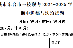 江苏省盐城市东台市三校联考 2024-2025学年八年级下学期期中道德与法治试题（含解析）