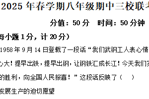 江苏省盐城市射阳县2024-2025学年八年级下学期4月期中历史试题（含解析）