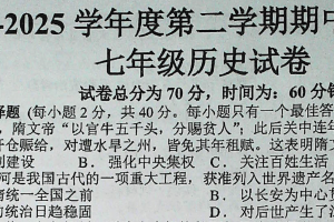 江苏省宿迁市宿城区新区教学共同体学情调研2024-2025学年七年级下学期4月期中历史试题（含答案）