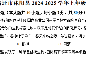江苏省宿迁市沭阳县2024-2025学年七年级下学期期中生物试题（含解析）