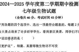 江苏省徐州市2024—2025学年七年级下学期期中检测生物试题（含答案）