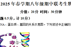 江苏省盐城市阜宁县三校联考2024-2025学年八年级下学期期中生物试题（含解析）
