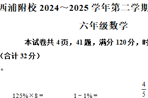 2024-2025学年江苏省苏州市西交利物浦附小学苏教版六年级下册期中调研测试数学试卷（含解析）