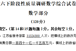 2024-2025学年江苏省宿迁市沭阳县第一实验小学苏教版六年级下册期中测试数学试卷（含解析）