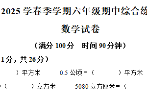 2024-2025学年江苏省宿迁市宿城区苏教版六年级下册期中测试数学试卷（含解析）