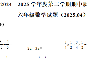2024-2025学年江苏省徐州市沛县苏教版六年级下册期中测试数学试卷（含解析）