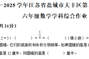 2024-2025学年江苏省盐城市大丰区苏教版六年级下册期中测试数学试卷（含解析）
