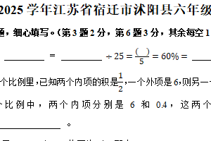 江苏省宿迁市沭阳县2024-2025学年六年级下学期期中数学试卷（含解析）