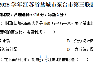 江苏省盐城市东台市第三联盟2024-2025学年六年级下学期4月期中数学试题（含解析）