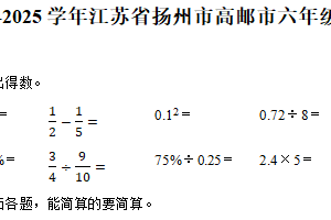 江苏省扬州市高邮市2024-2025学年六年级下学期期中六数学试题（含解析）