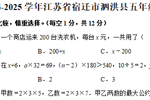 2024-2025学年江苏省宿迁市泗洪县五年级（下）期中数学试卷（含答案）