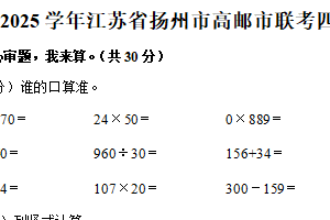 江苏省扬州市高邮市秦邮实验小学等校联考2024-2025学年四年级下学期期中数学试卷（含解析）