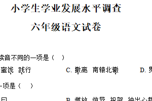 2024-2025学年江苏省连云港市灌云县统编版六年级下册期中考试语文试卷（含解析）