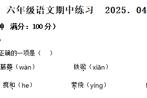 2024-2025学年江苏省南通市通州区统编版六年级下册期中考试语文试卷（含解析）