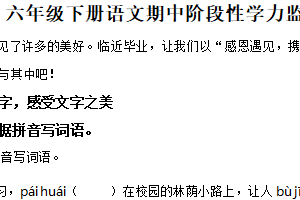 2024-2025学年江苏省无锡市江阴区山观镇统编版六年级下册期中考试语文试卷（含解析）