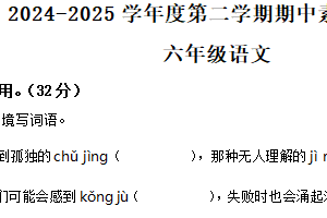 2024-2025学年江苏省徐州市丰县统编版六年级下册期中考试语文试卷（含解析）