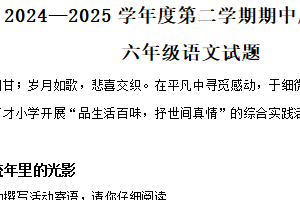 2024-2025学年江苏省徐州市沛县统编版六年级下册期中考试语文试卷（含解析）
