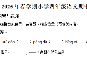 2024-2025学年江苏省盐城市亭湖区统编版四年级下册期中考试语文试卷（含解析）